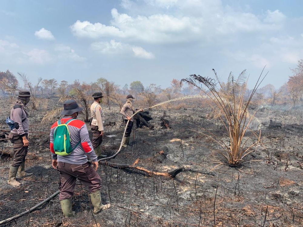 Ilustrasi beberapa wilayah di Pekanbaru masuk kawasan rawan Karhutla (foto/int)